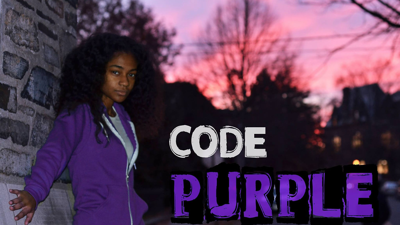 BAC Presents: Code Purple (Fall 2013)
